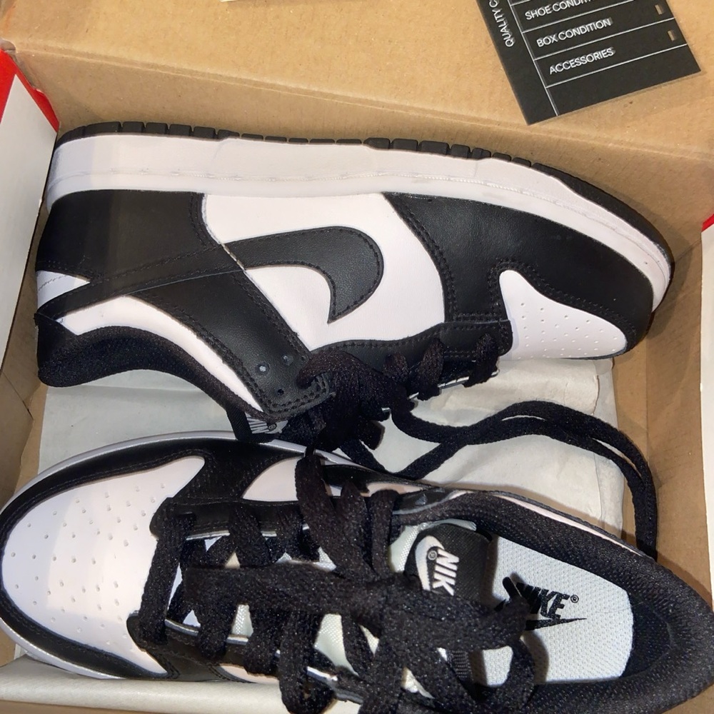 Kids Nike Dunk Low